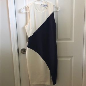 Elizabeth and James body con dress